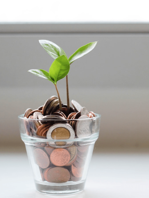 Google Ads campaigns growth