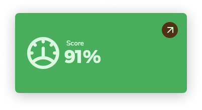 High Google Ads Score by Clever Ads Audit